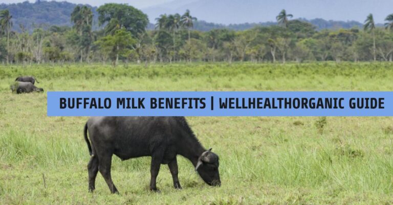 wellhealthorganic buffalo milk tag