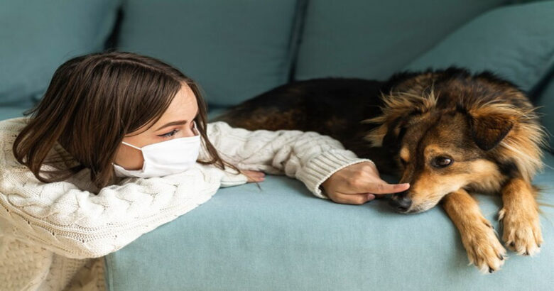 Pet Allergies