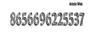 8656696225537