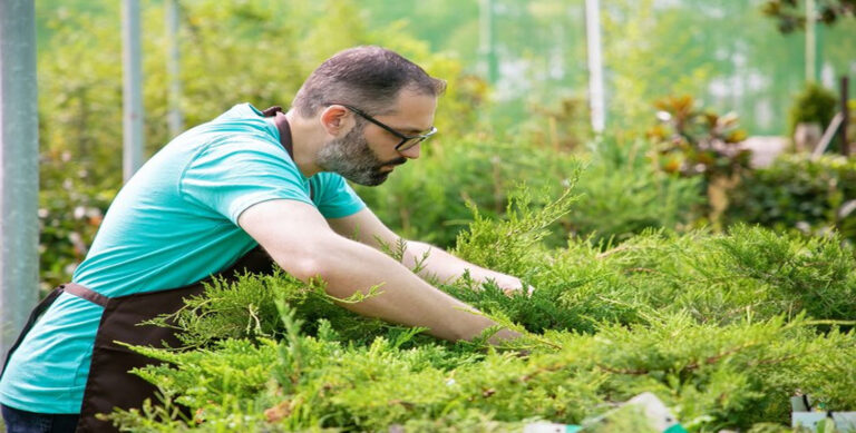 cedar mulch benefits